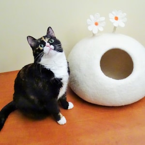 May include: A black, white, and orange cat sits on a wooden surface, looking up.  Behind the cat is a white, felt cat bed with two white flowers with orange centers.