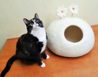 以下が含まれることがあります： 黒と白とオレンジの猫が木製の表面に座って上を見上げています。猫の後ろには、オレンジ色の芯を持つ白い花が2つ付いた白いフェルト製の猫用ベッドがあります。