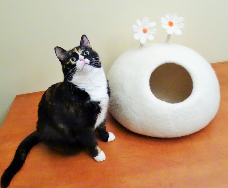 May include: A black, white, and orange cat sits on a wooden surface, looking up.  Behind the cat is a white, felt cat bed with two white flowers with orange centers.