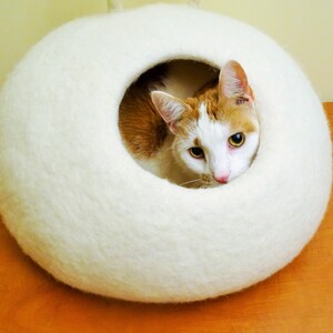 May include: A white felt cat bed shaped like a donut with a hole in the center. A white and orange cat is peeking out of the hole.