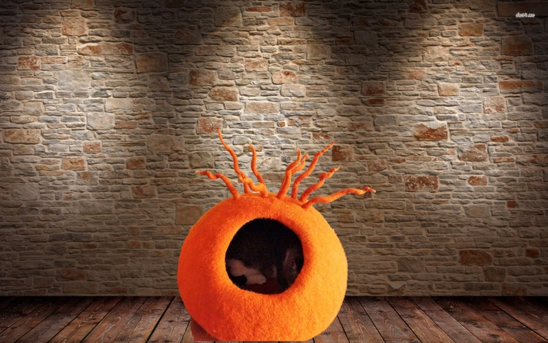 Peut inclure: Lit de chat en feutre orange avec une ouverture ronde et un design unique de vrilles en feutre s'&eacute;tendant du haut.