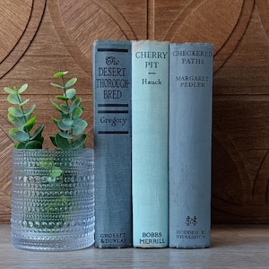 Vintage Blue Book Bundle, Bookshelf Decor, Home Staging, Small Old Book Stack, Decorative Books, Western