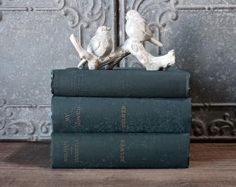 Blue Antique Books, Old Decorative Books, Vintage Bookshelf Decor, Dark Academia