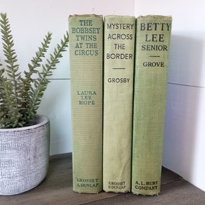Vintage Green Books | Set of 3 Old Books | Green Bookshelf | Betty Lee |  Bobbsey Twins | Mystery Across the Border
