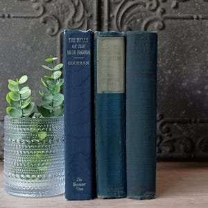 Vintage Blue Books, Old Blue Books, Antique Bookshelf Decor, Decorative Book, Gifts for Book Lovers, Book Stack Bundle,