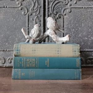 May include: A decorative figurine of two birds perched on a branch, resting atop a stack of three vintage books. The top book is light beige, while the middle and bottom books are teal. The middle book features the text Outlines of American Literature.