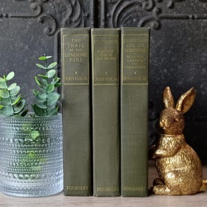 Antique Green Books, Old Green Books, Vintage Bookshelf Decor, Decorative Book, Gifts for Book Lovers, Book Stack Bundle, Lonesome Pine