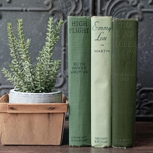 Vintage Green Books, Old Green Books, Bookshelf Decor, Decorative Book, Boho, Cottagecore