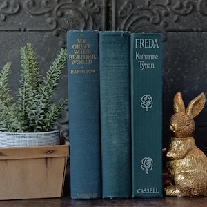 Vintage Blue Books, Old Blue Books, Antique Bookshelf Decor, Decorative Book, Gifts for Book Lovers, Book Stack Bundle, H.G. Wells