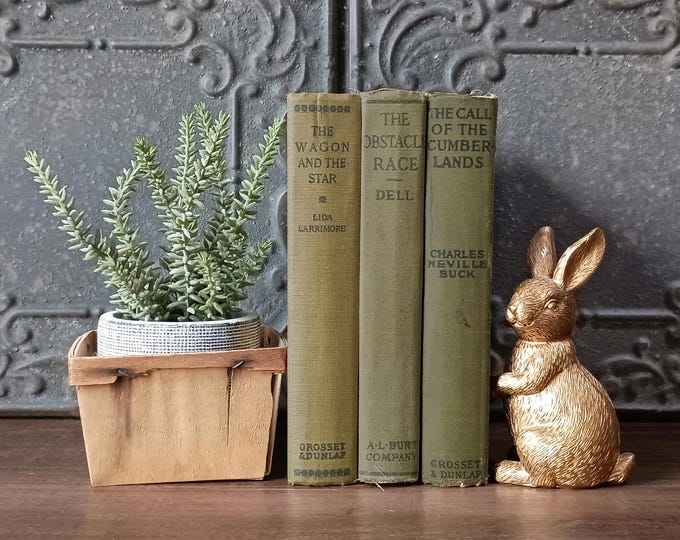 Vintage Book Set of 3, Old Decorative Books for Bookshelf Styling & Farmhouse French Country Décor, Antique