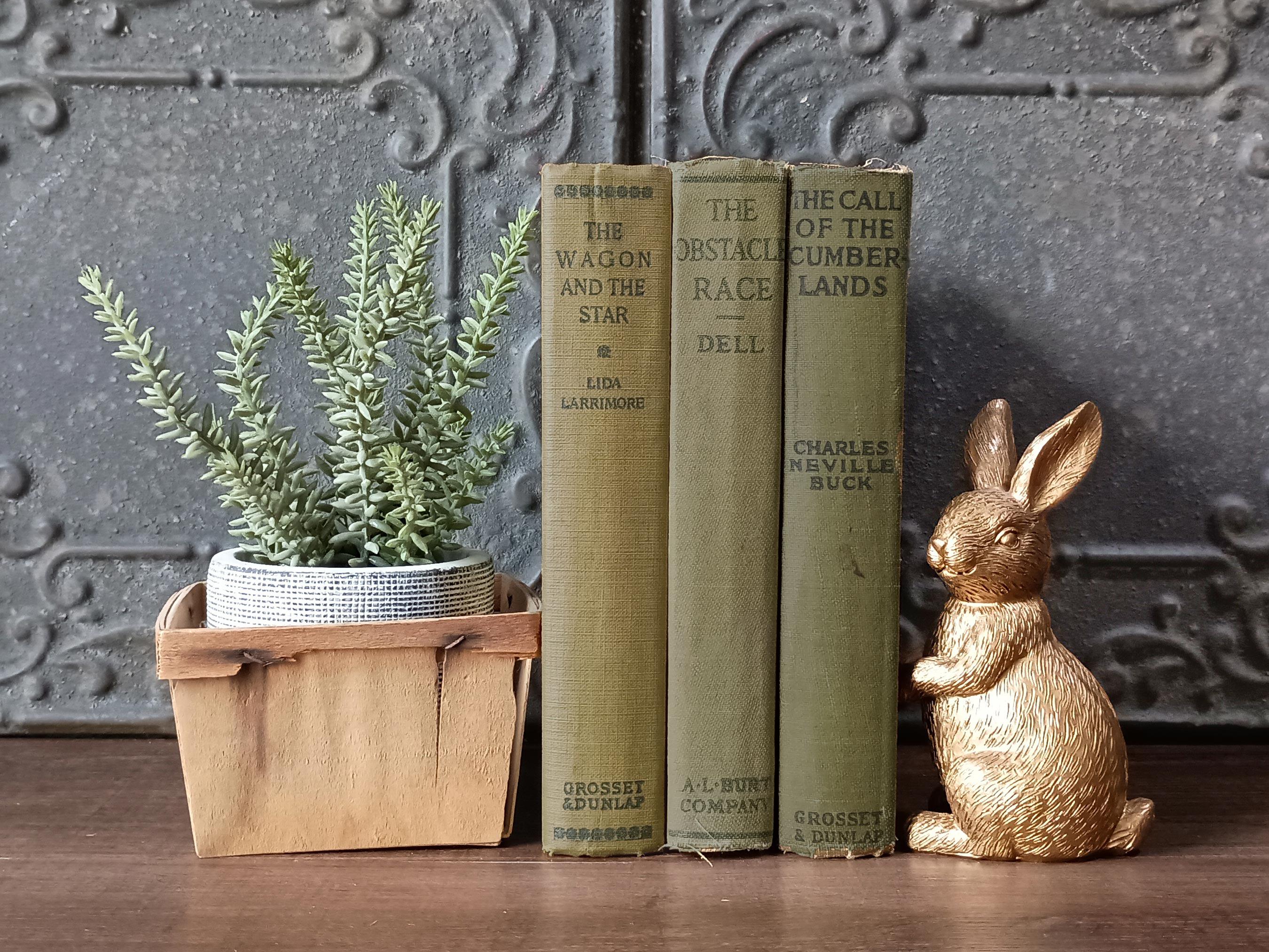 Book Sets & Collections - Etsy