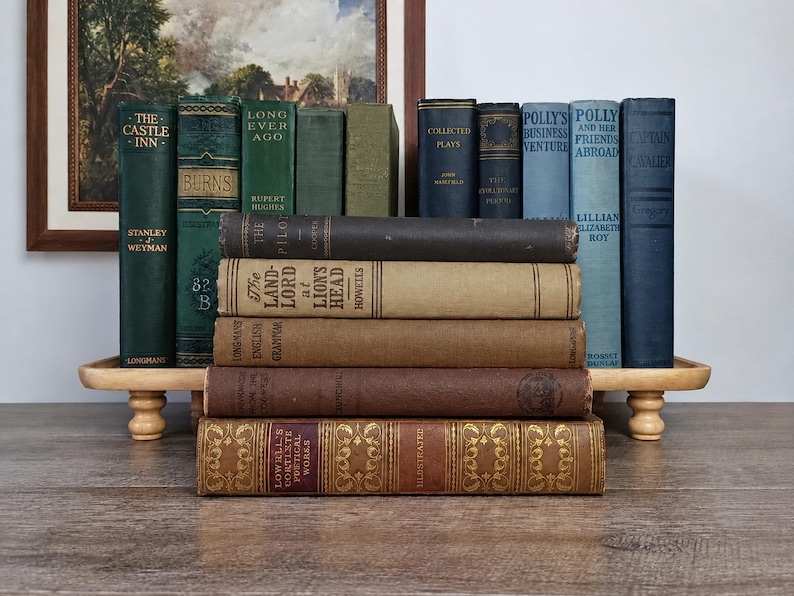 Vintage Books by Color, Custom Book Set, Old Decorative Books ...