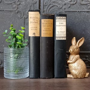 May include: A decorative arrangement featuring three vintage books with titles including "Heloise and Abelard" and "The Babyons." A small glass vase with greenery and a gold-colored rabbit figurine complete the display. The books are black with aged covers.