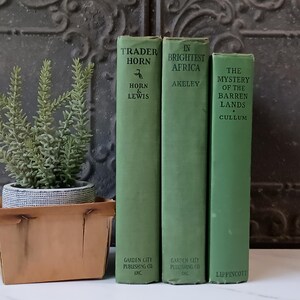 Antique Green Books, Old Green Books, Curated Bookshelf Decor, Decorative Books, Home Library, Hardcover, Staging Books
