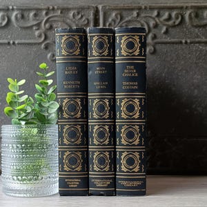 Vintage Blue Book Bundle, Bookshelf Decor,  Blue and Gold Books, Decorative Library, Grandmillennial Style,