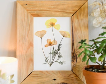 California Poppy, CA State Flower | Print reproduction artwork of pressed flowers | 100% cotton rag paper | Botanical artwork