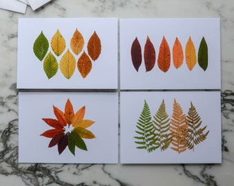 Autumn Leaf Ombrés / Tarjetas en miniatura en blanco, juego de cuatro, con sobres de lino blanco / Reproducción impresa de diseños de flores prensadas