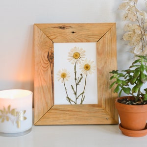 Daisy / April | Print artwork of pressed flowers | 100% cotton rag paper | Birth month flowers, Botanical artwork, herbarium