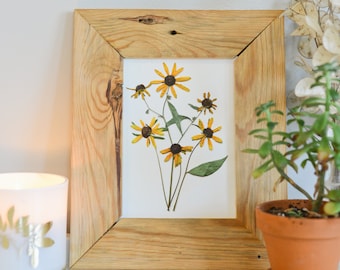 Black eyed susan/rudbeckia, Maryland State Flower | Print reproduction artwork of pressed flowers | 100% cotton rag paper | Botanical art