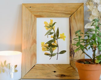 Yellow Jessamine, South Carolina State Flower | Print reproduction artwork of pressed flowers | 100% cotton rag paper | Botanical artwork