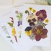 see more listings in the Botanical Blank Cards section