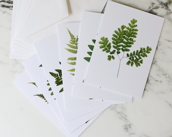 Assorted Ferns | Blank Greeting Cards, set of six, with white linen envelopes | Print reproduction of pressed plants | 4.5x6"