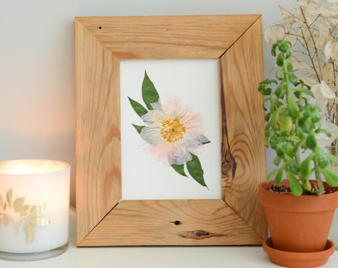 Blush peony | Print artwork of pressed flower | 100% cotton rag paper | State flower, Botanical artwork
