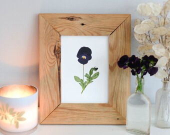 Black Viola stem | Print reproduction artwork of pressed flowers | 100% cotton rag paper | Botanical artwork