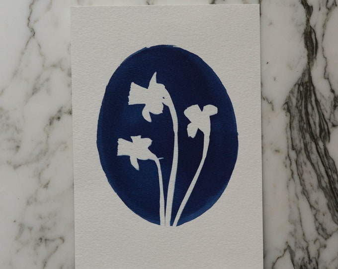 Flower Cameo, Daffodil | Cyanotype Art, 5x7" Watercolor Paper | Sun Print, Blue Print, Botanical Art, Pressed Flowers, Photogram