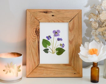 Violet / February | Print artwork of pressed flowers | 100% cotton rag paper | Birth month flowers, IL, NJ, RI, Wi state flower