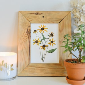 Rudbeckia, flor do estado de Maryland | Reprodução impressa de flores prensadas | Papel de trapos 100% algodão | Arte botânica