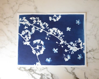 Cherry Blossom | Cyanotype Art, 11x14" Watercolor Paper | Sun Print, Blue Print, Botanical Art, Pressed Flowers, Photogram