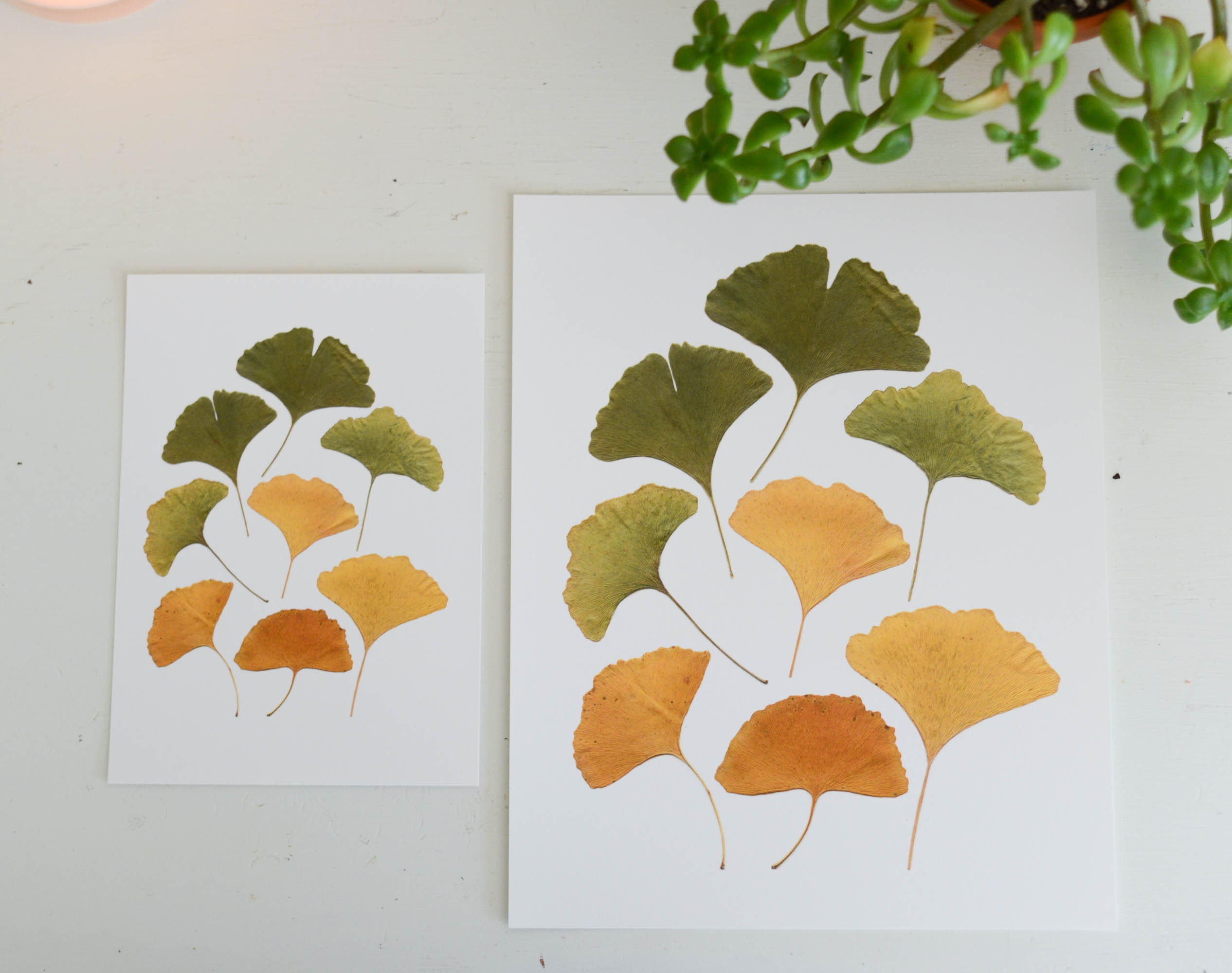 Leaf Art - Spectrum Press