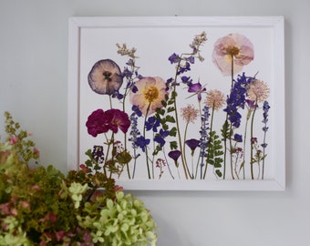 Summer Meadow / Four Seasons | Limited edition, numbered Print artwork of pressed flowers | 100% cotton rag paper | Botanical artwork