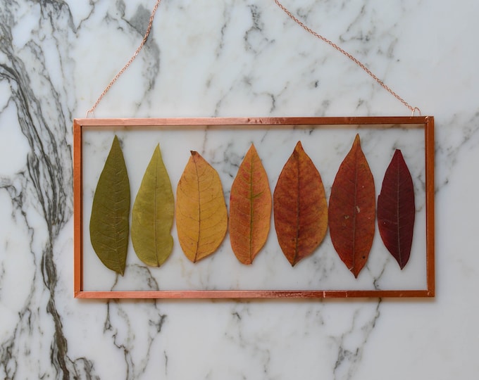 Real pressed flower wall hanging | sumac spectrum 2 | 4x8" glass with copper edging | botanical home decor