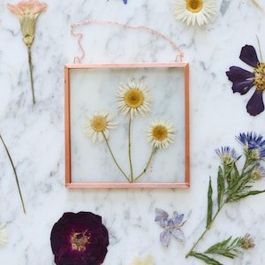 May include: A square, copper-colored framed pressed flower art piece with three daisies. The daisies have white petals and yellow centers. The frame is hanging by a delicate chain. Dried flowers in various colors are scattered around the frame on a marble surface.