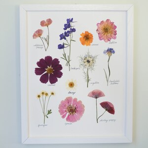 July Morning | Print artwork of pressed summer flowers | 100% cotton rag paper | Botanical artwork