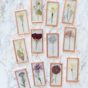 May include: A collection of rectangular copper-framed pressed flower art pieces. Each frame contains a different dried flower or plant specimen, set against a white background. The frames are hung with delicate copper chains.
