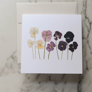 SINGLE Viola Card - choix de designs | Carte de vœux vierge avec enveloppe | Reproduction imprimée de fleurs pressées | 5x5 » carré