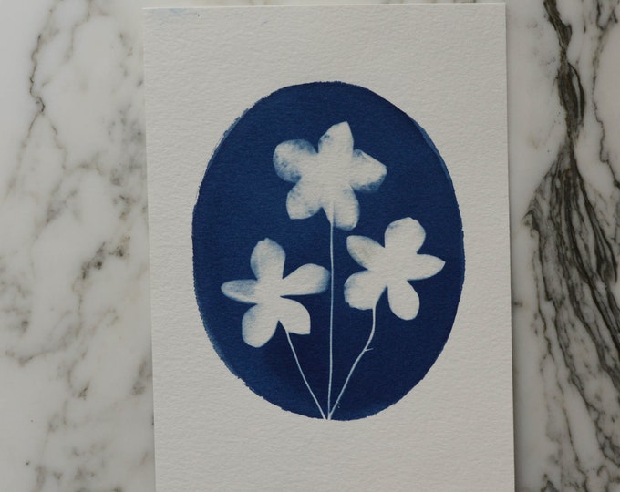 Flower Cameo, Wood Anemone | Cyanotype Art, 5x7" Watercolor Paper | Sun Print, Blue Print, Botanical Art, Pressed Flowers, Photogram