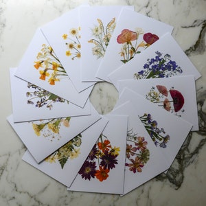 The Bouquet Collection Set of 6 or 12 Blank Greeting Cards with white linen envelopes Print reproduction of pressed flower designs image 7