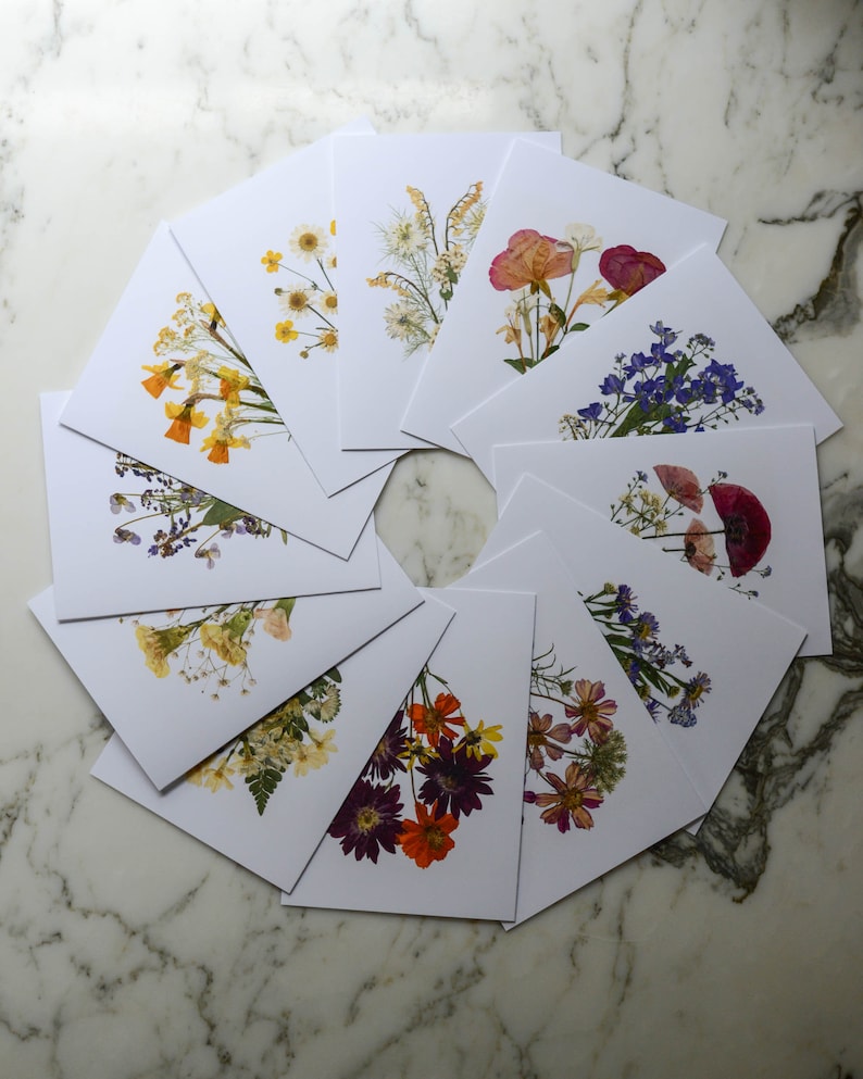 The Bouquet Collection Set of 6 or 12 Blank Greeting Cards with white linen envelopes Print reproduction of pressed flower designs image 7