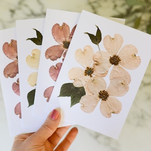 Cornouiller fleuri | Cartes de voeux vierges, lot de quatre, avec enveloppes en lin blanc | Reproduction imprimée de motifs floraux pressés | 4,5 x 6 po.