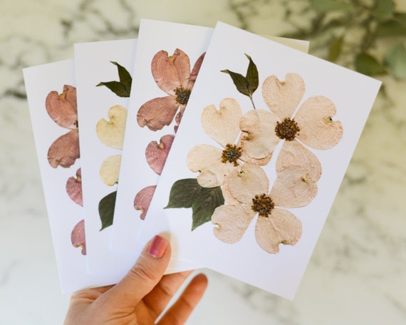 Limited Print 4x6 Greeting Cards - Flower Love (set of 3)