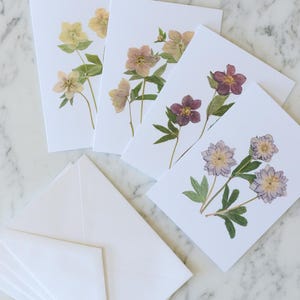 May include: A collection of white greeting cards, each adorned with pressed flowers in shades of yellow, pink, and purple. The image also shows several white envelopes, suggesting a stationery set.