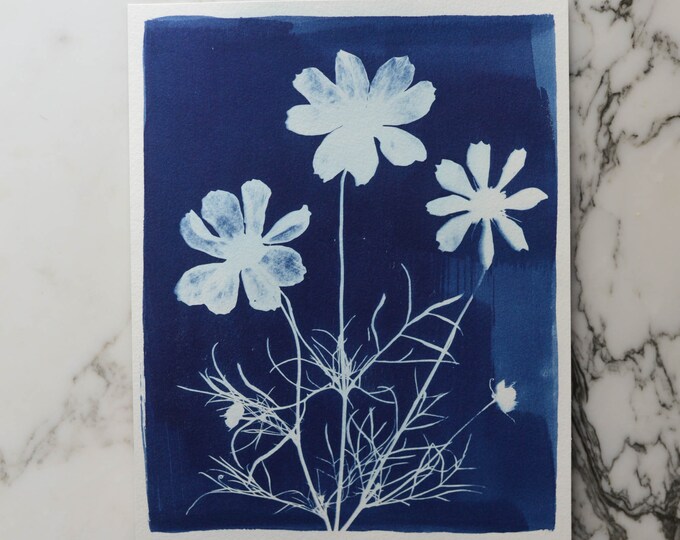 Cosmos Trio | Cyanotype Art, 8x10" Watercolor Paper | Sun Print, Blue Print, Botanical Art, Pressed Flowers, Photogram