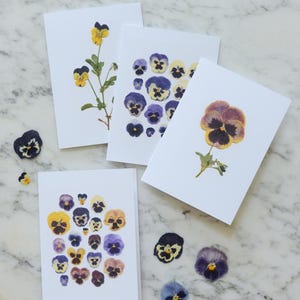 May include: Four white greeting cards featuring pressed pansies in different designs. The pansies are in shades of yellow, purple, and brown. Loose pansies are scattered around the cards. The background is a marble surface.