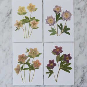 May include: Four botanical art prints featuring pressed flowers. Each print showcases a different arrangement of dried flowers in shades of yellow, purple, and pink, with green leaves, set against a white background. The prints are displayed on a marble surface.