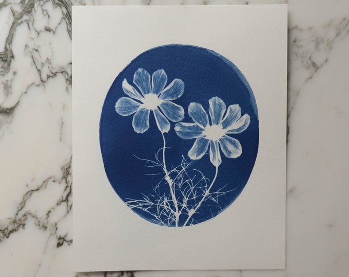 Flower Cameo, Cosmos Duo L2 | Cyanotype Art, 8x10" Watercolor Paper | Sun Print, Blue Print, Botanical Art, Pressed Flowers, Photogram