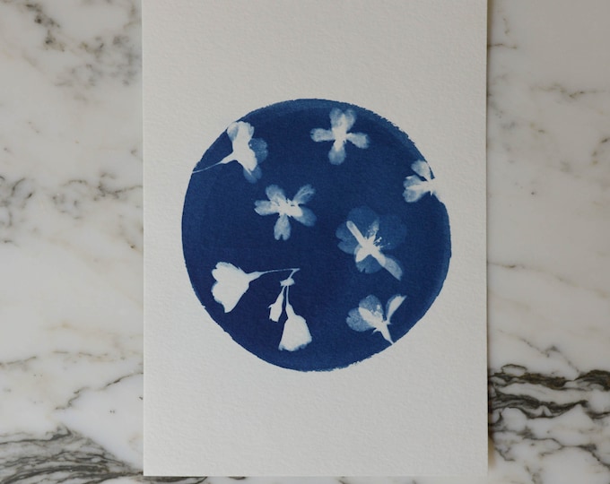 Cherry Blossom C2 | Cyanotype Art, 5x7" Watercolor Paper | Sun Print, Blue Print, Botanical Art, Pressed Flowers, Photogram
